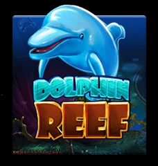 Dolphin Reef