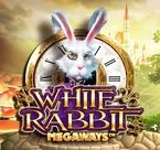White Rabbit